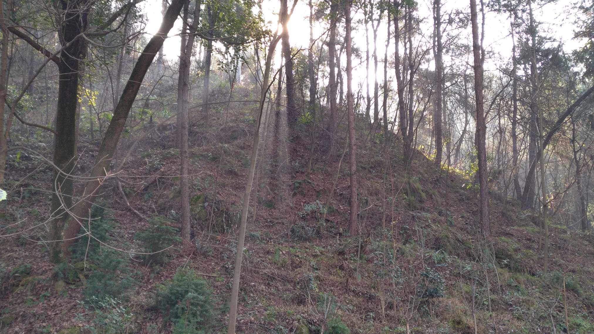 牛头山风景