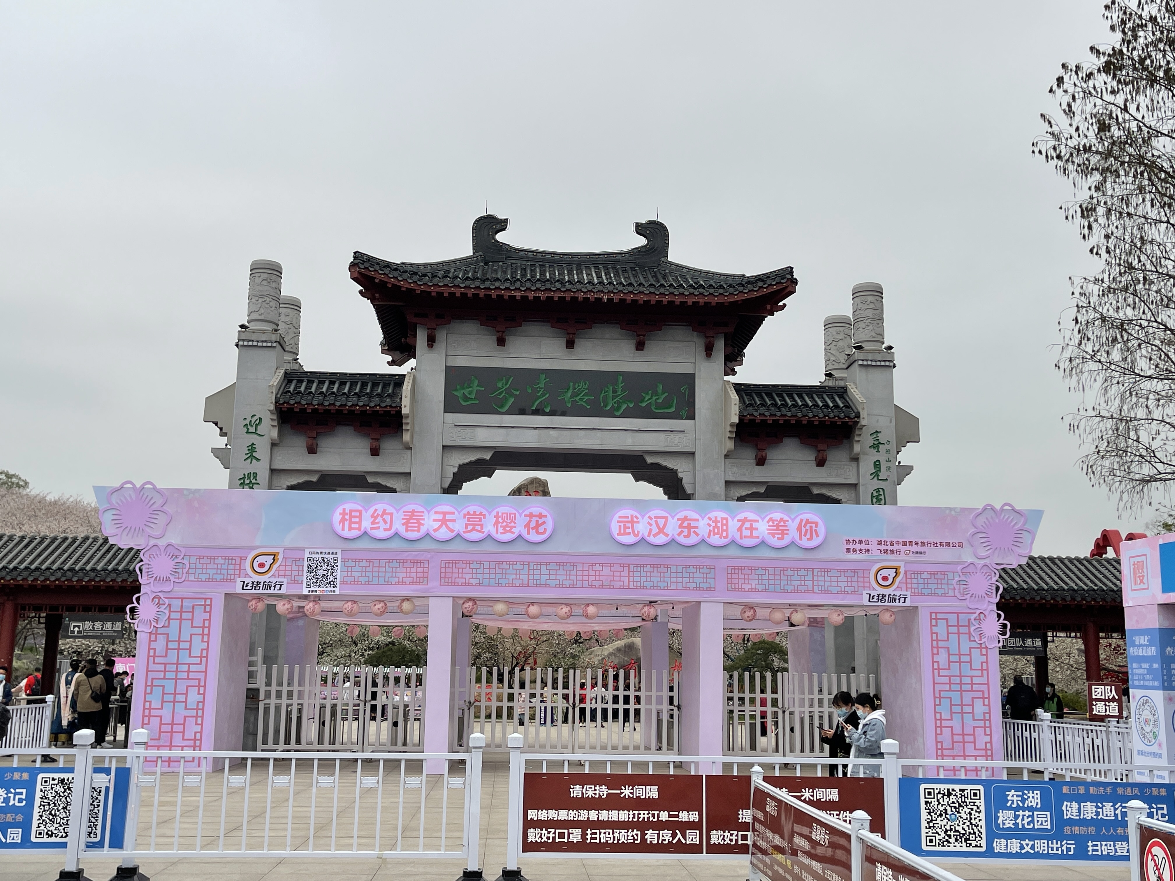 东湖风景照
