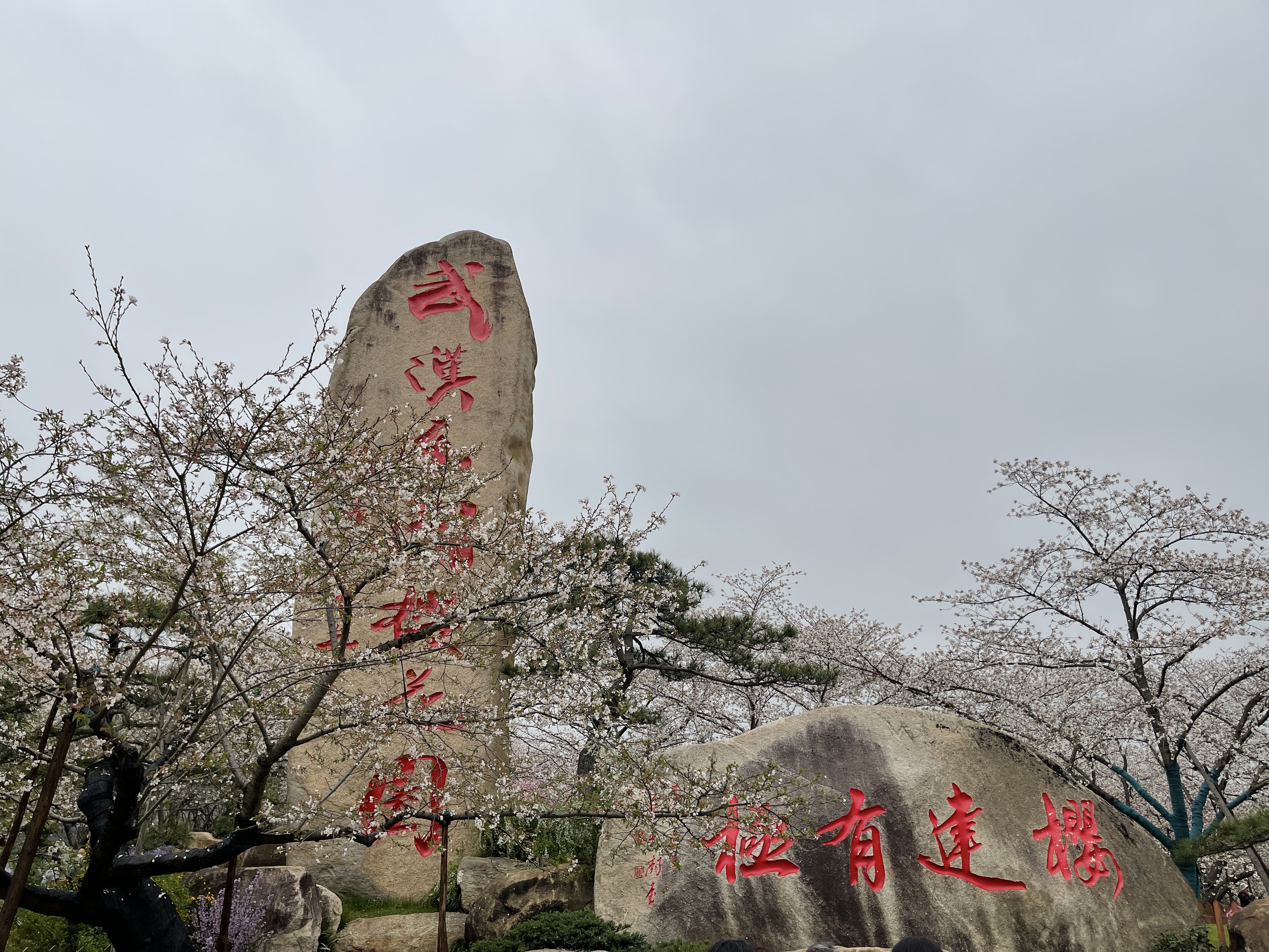 东湖风景照