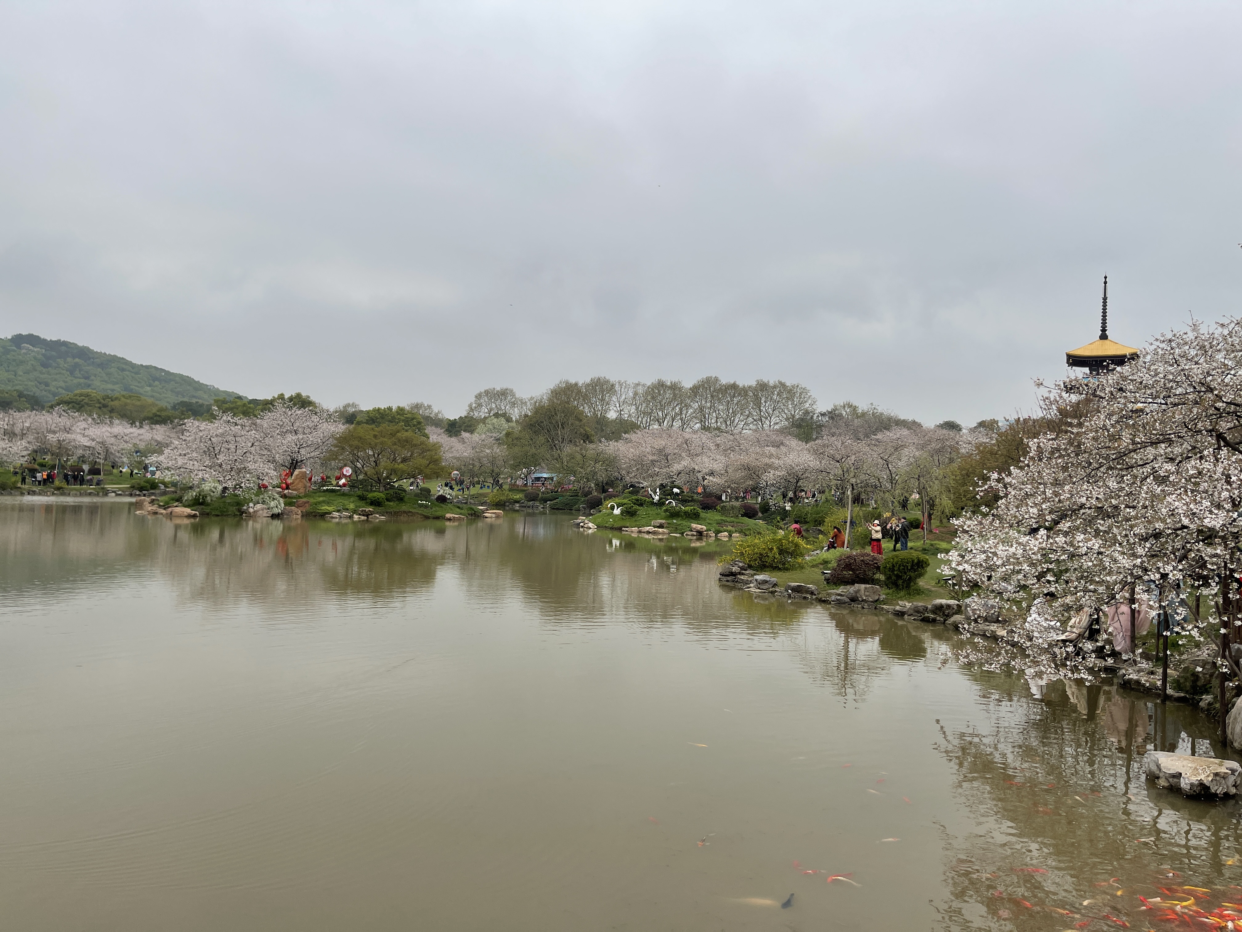 东湖风景照