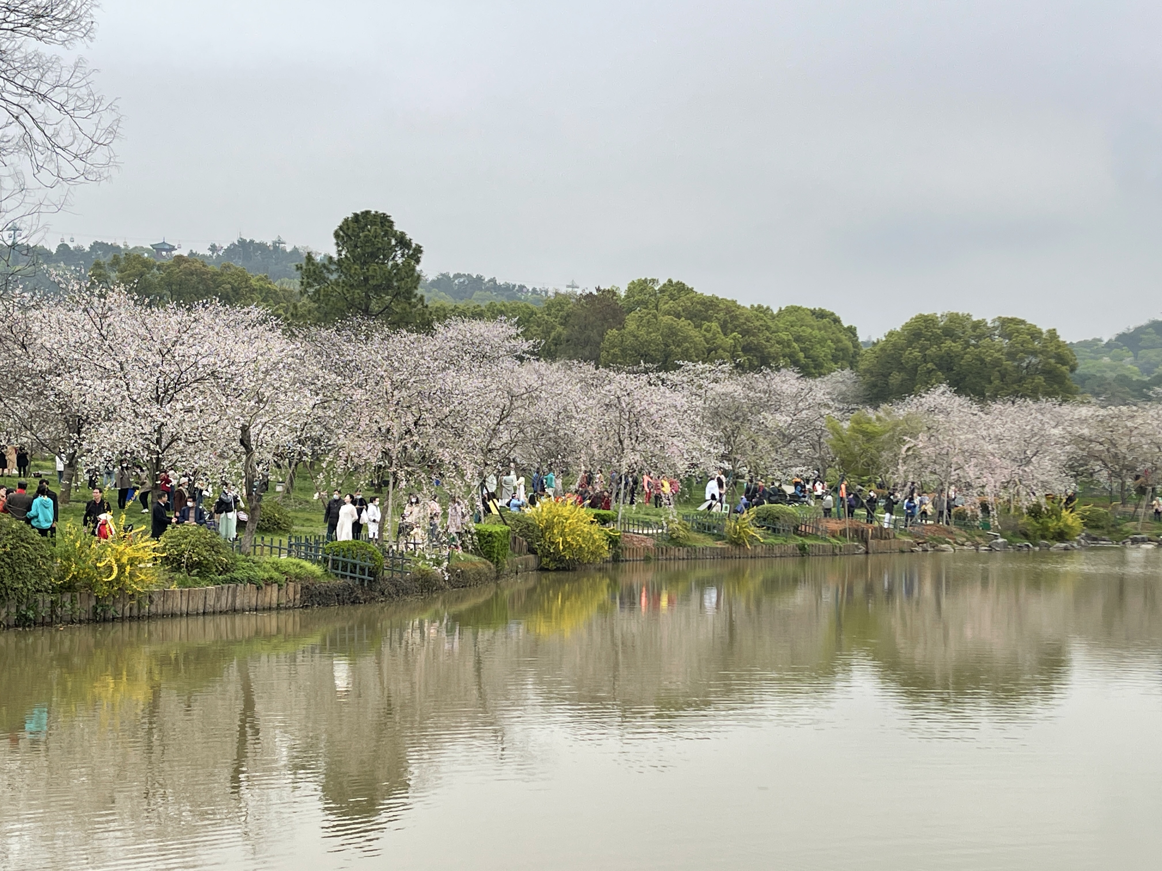 东湖风景照