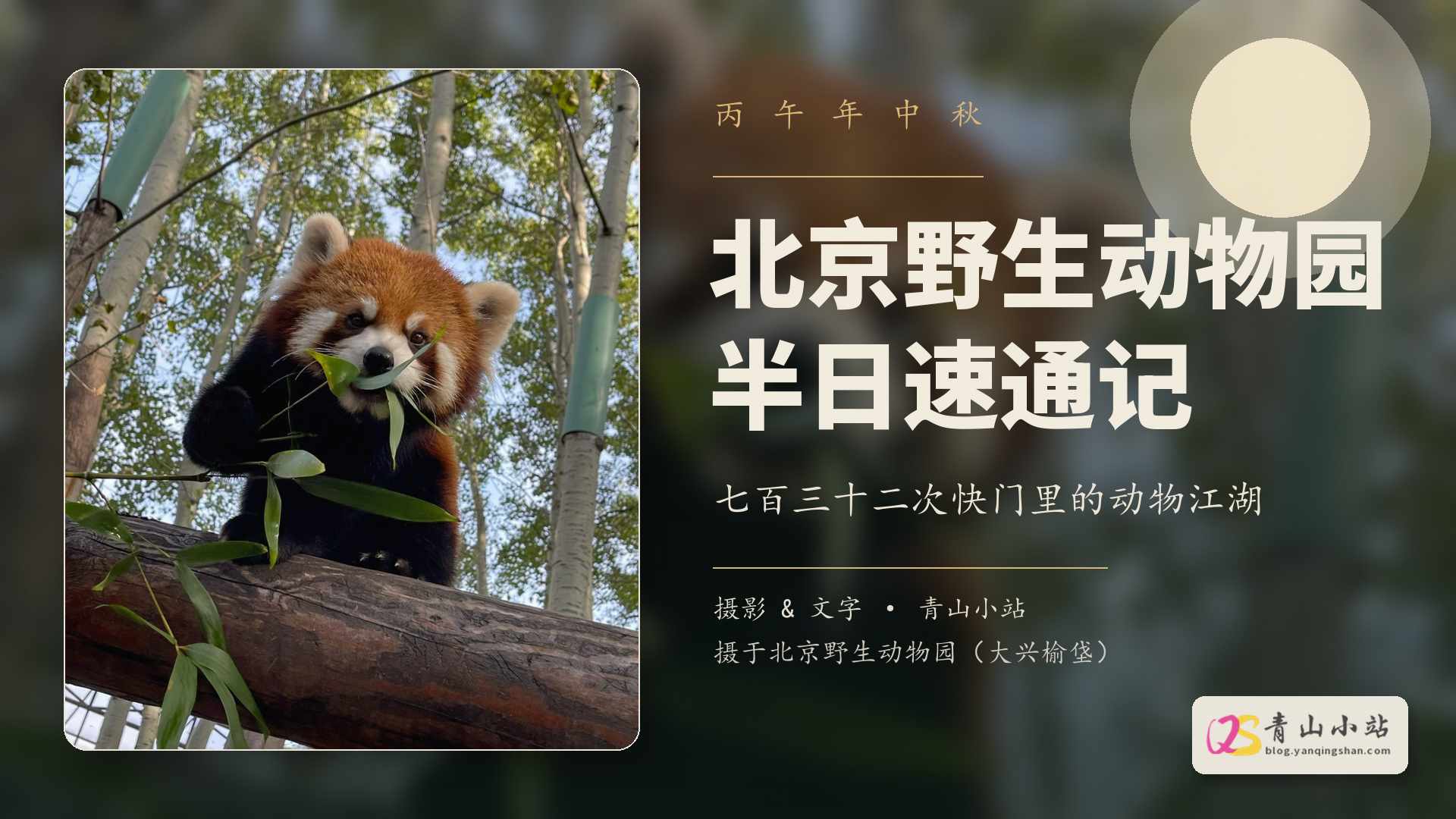 丙午年中秋北京野生动物园半日速通记